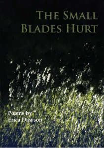 Screen shot 2014-01-28 at 4.44.44 PM