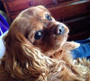 1959487_10203517284998657_1512137010_n