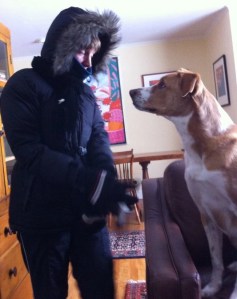 Chili_all_grown_up-2