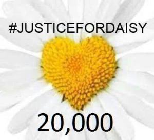 daisy justice hashtag