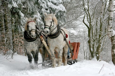 sleigh-ride-549727_1920